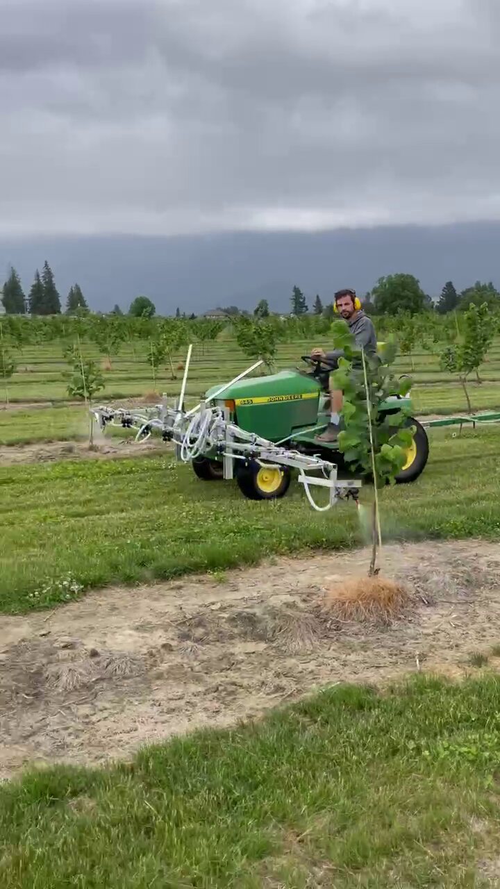 Orchard sprayer in operation between young tree rows